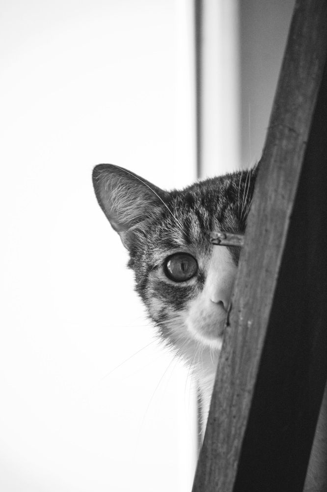Photograph by Евгений Салаев