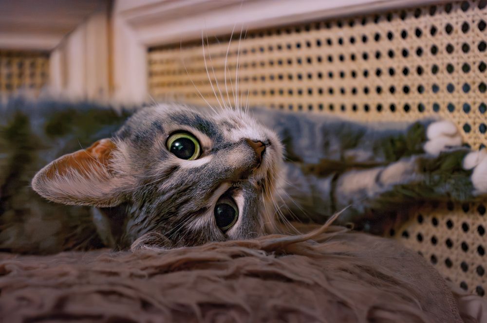 Photograph by Анастасия Блохина