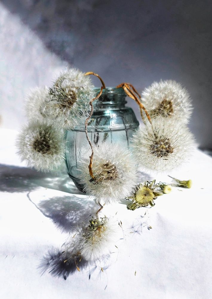 Photograph by Инга Сабанова