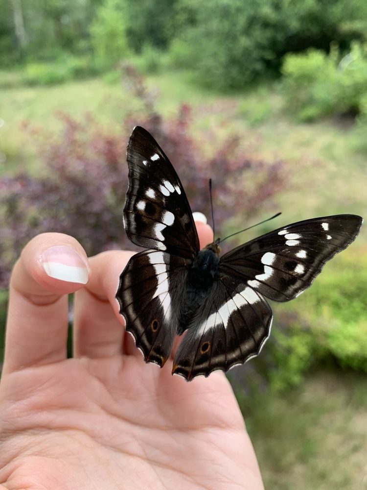 Фотография автора Olga Golubkova