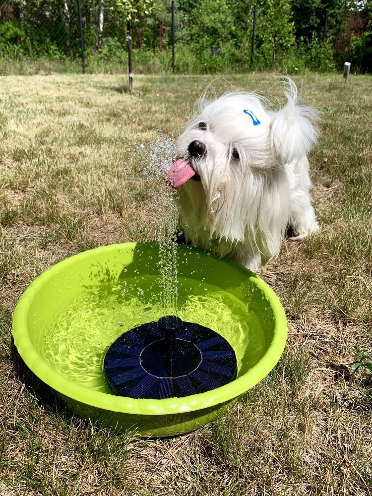 Фотография автора Olga Golubkova