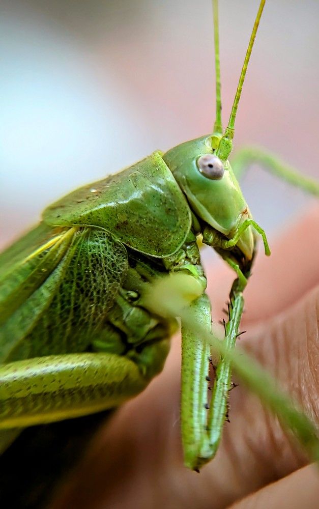 Photograph by AlexaL