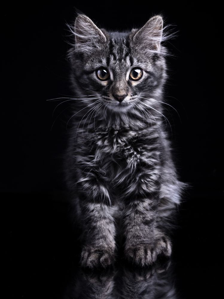 Photograph by Evgeniy Savikov