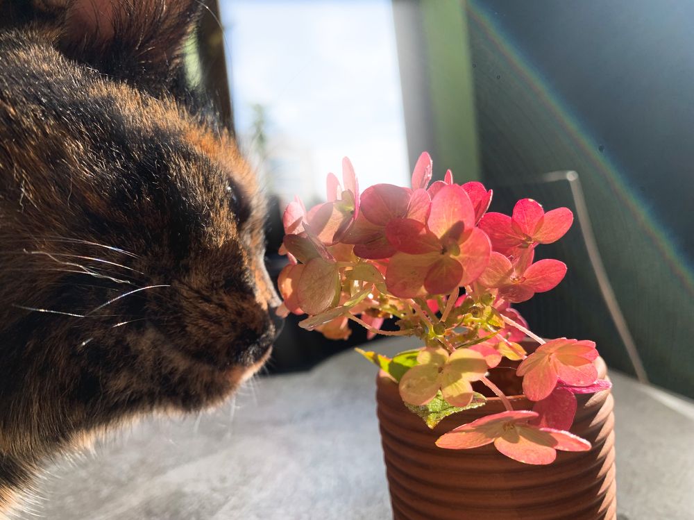 Photograph by Валерия Спирина