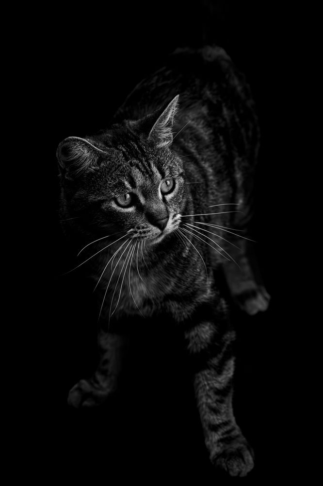 Photograph by дмитрий игнатов