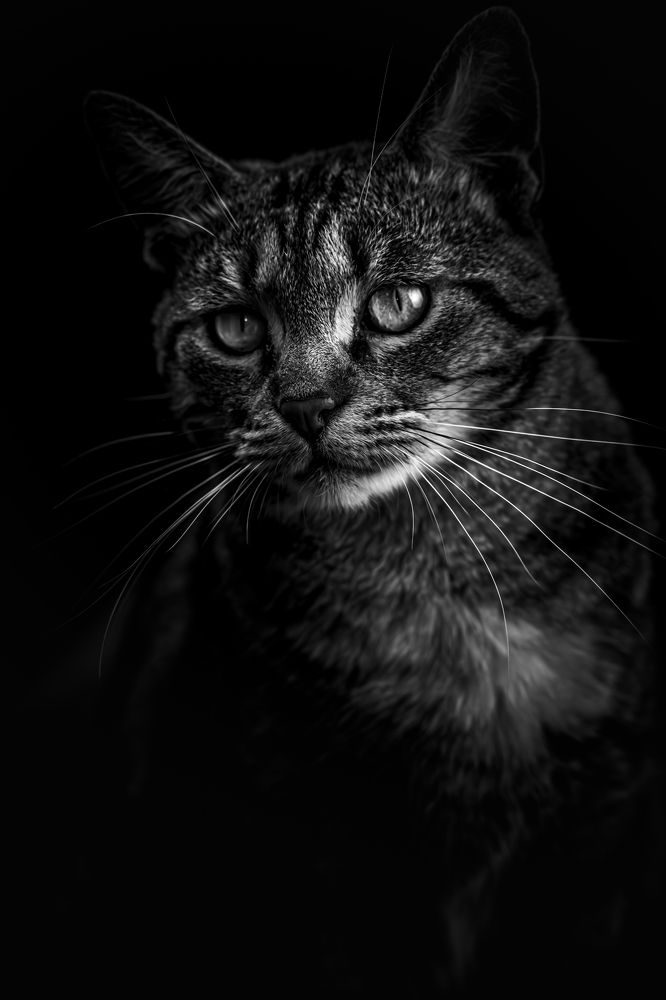 Photograph by дмитрий игнатов