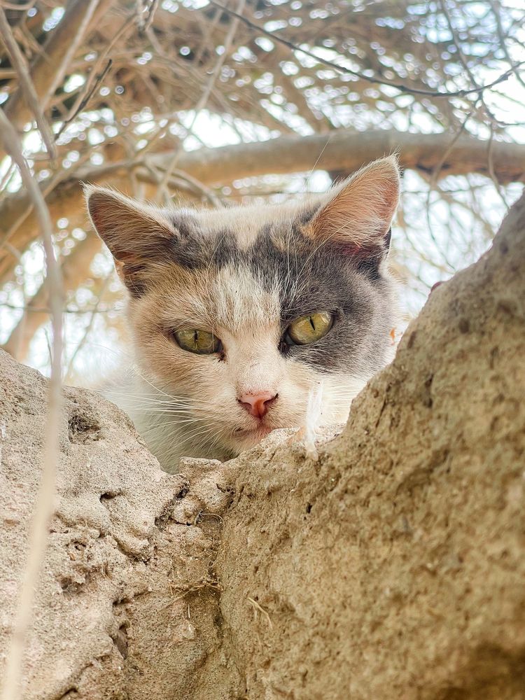 Photograph by Bassant Mohamed Salama