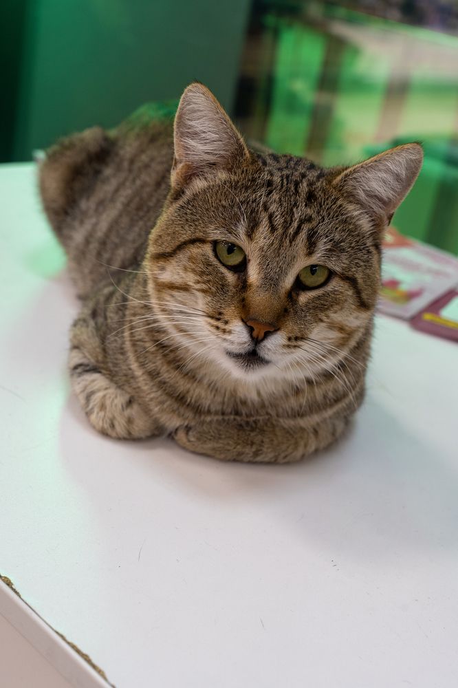 Photograph by Андрей Пучков