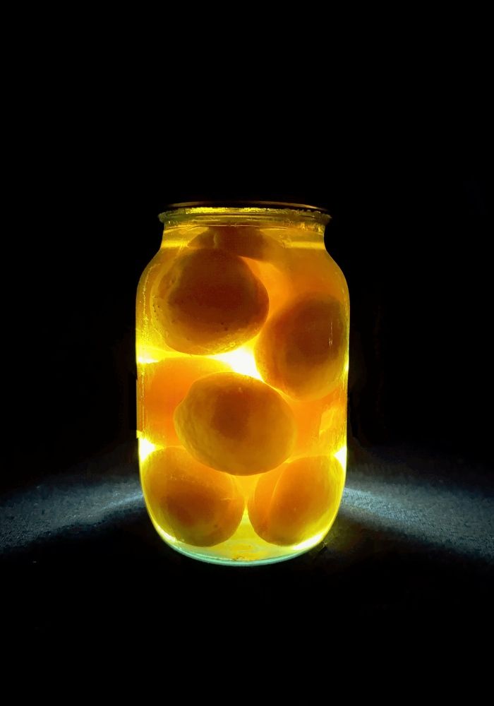 Photograph by Светлана Таркан