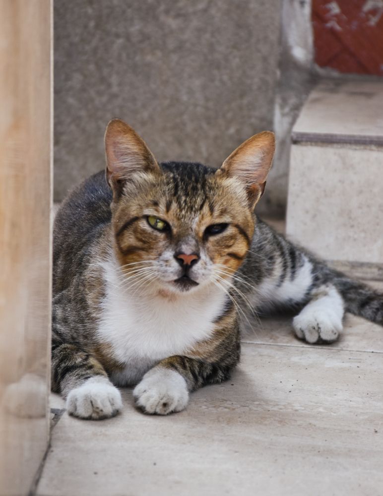 Photograph by Bassant Mohamed Salama