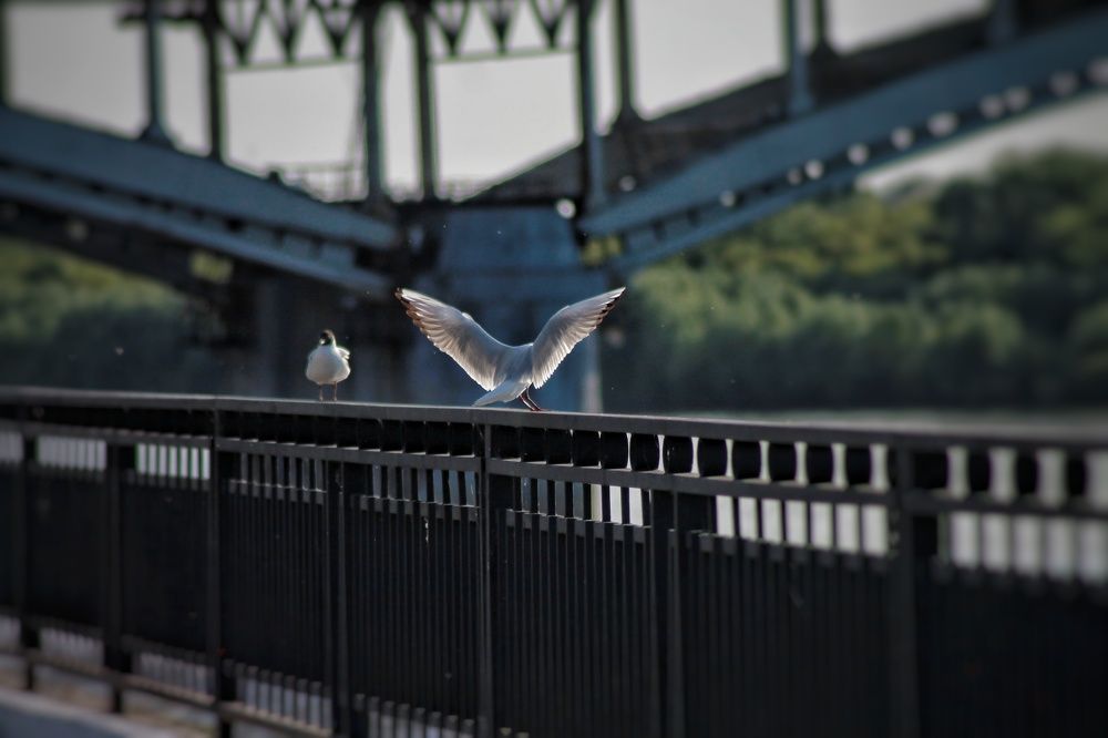 Photograph by Юрий