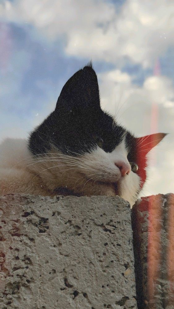 Photograph by TAGA Абдуллаев