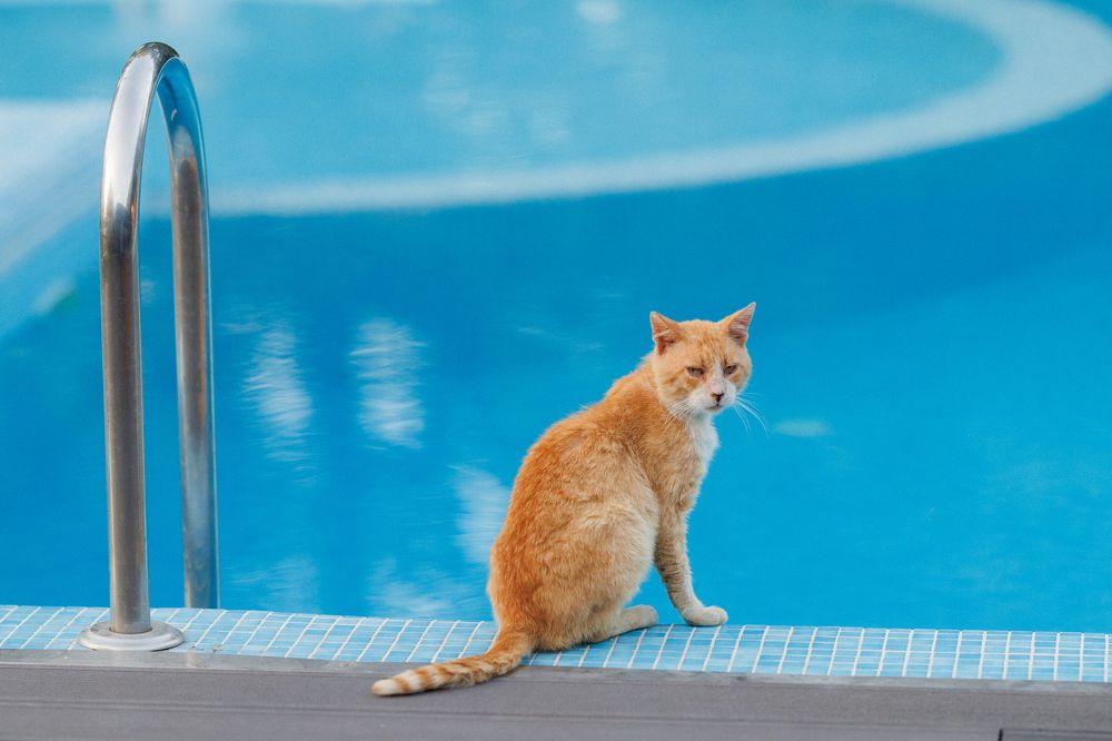 Photograph by Turculet Mihail