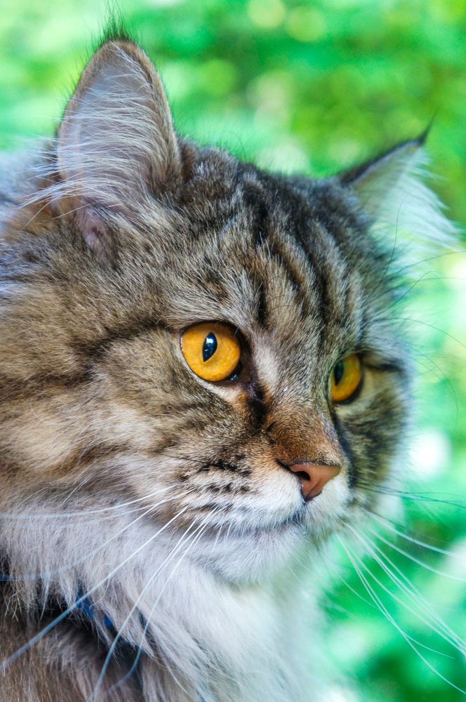 Фотография автора Ксения