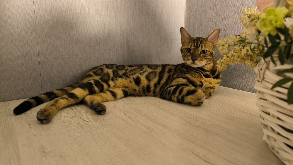 Photograph by Сергей Подлевский