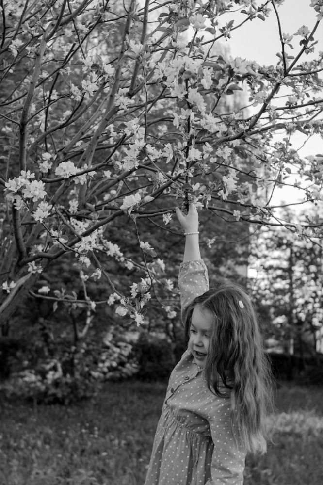 Photograph by Алёна Кибичеева