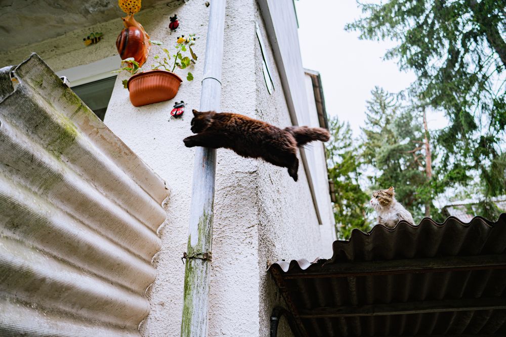 Photograph by Елена Осокина