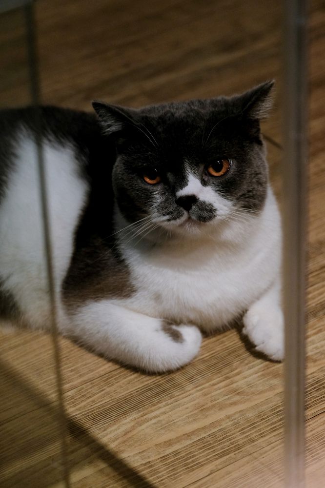 Photograph by Ngọc Phú Nguyễn