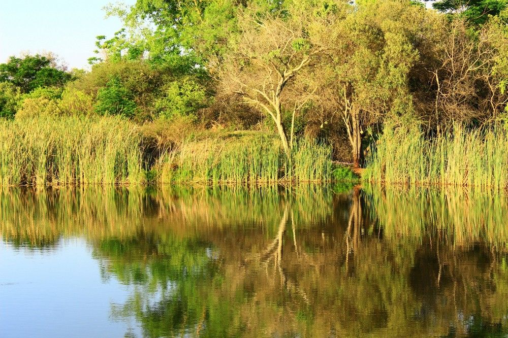 Фотография автора Nico Ebersohn