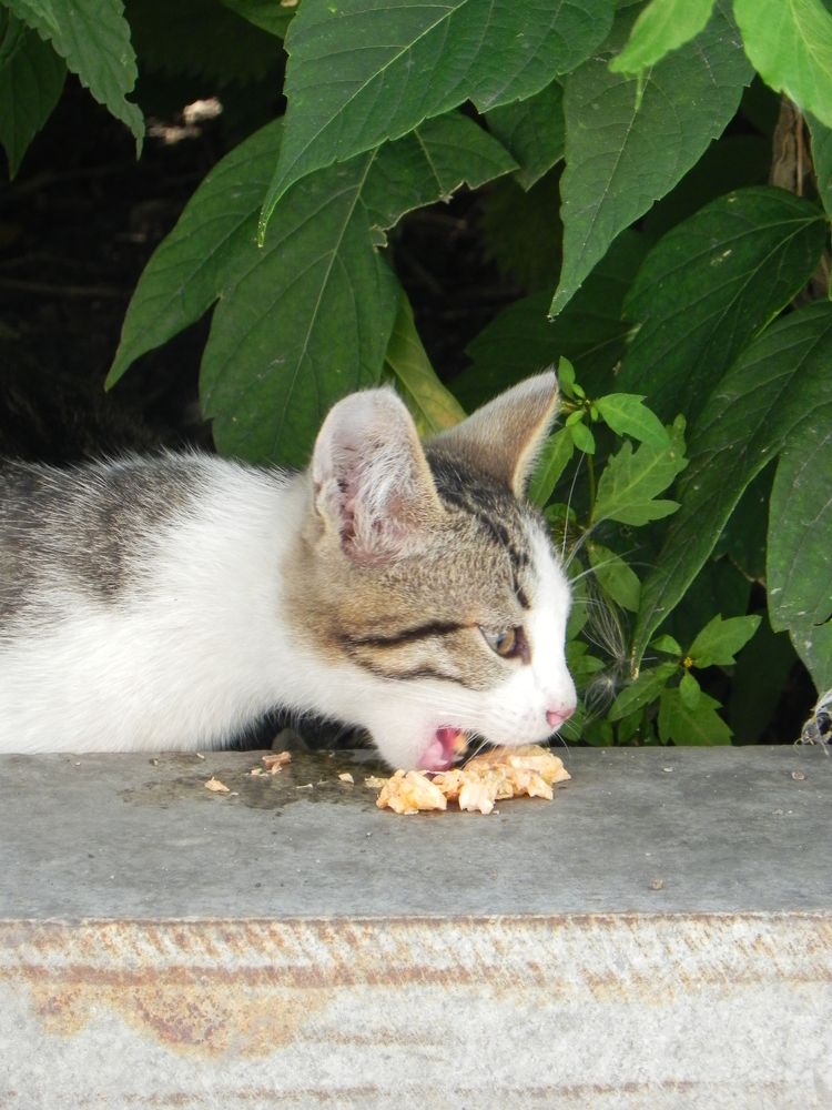 Photograph by Кристина Лакс