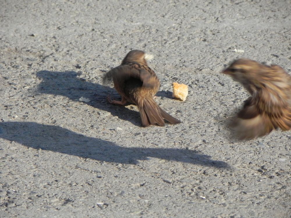 Photograph by Кристина Лакс