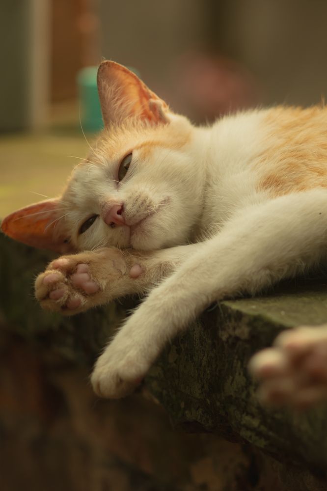 Фотография автора Bùi Nguyễn