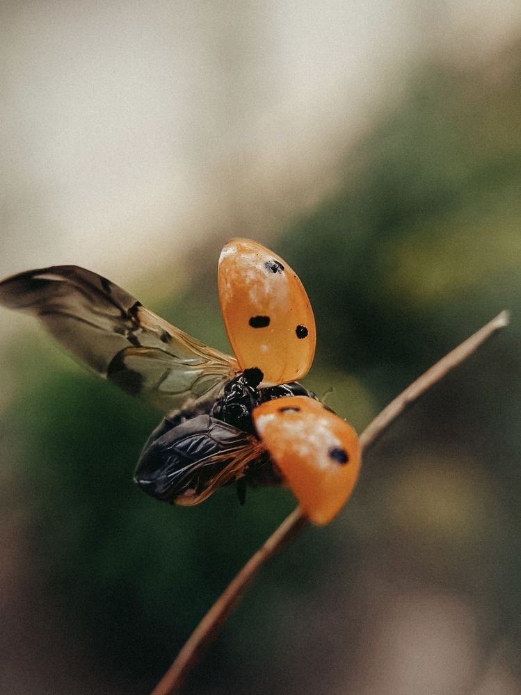 Photograph by Екатерина