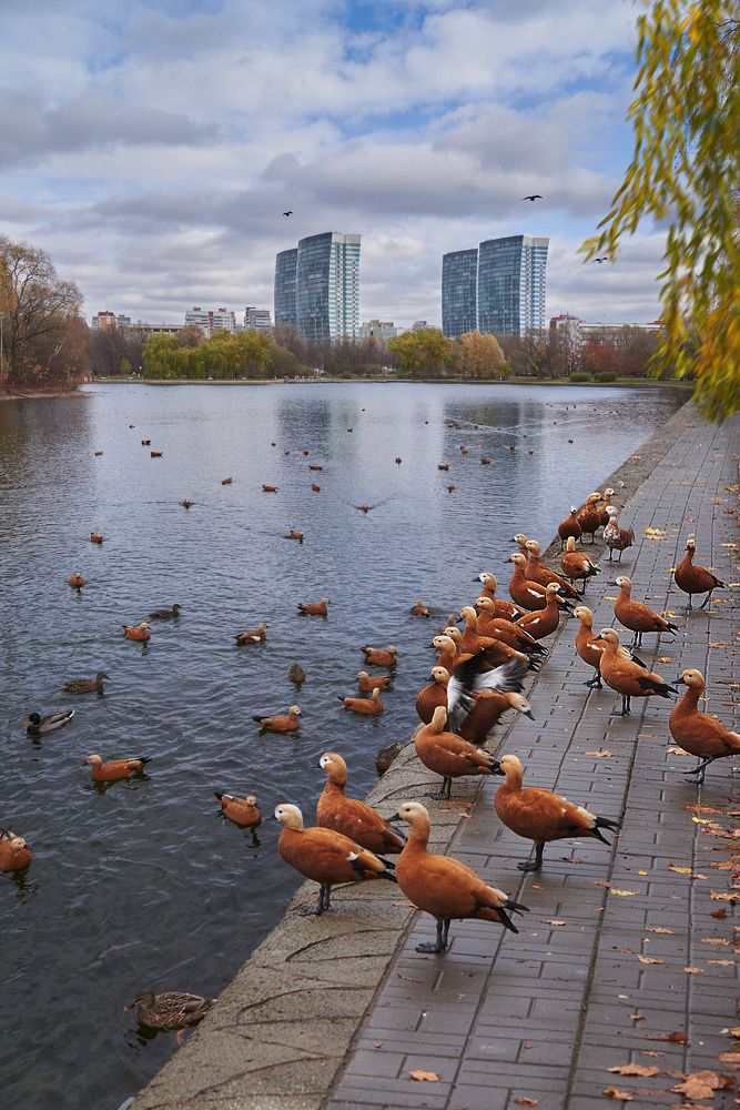 Photograph by Марина Кузьмина