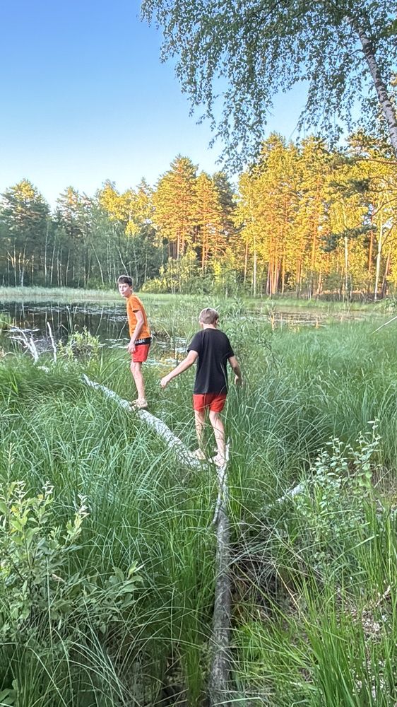 Photograph by Елена Гущина