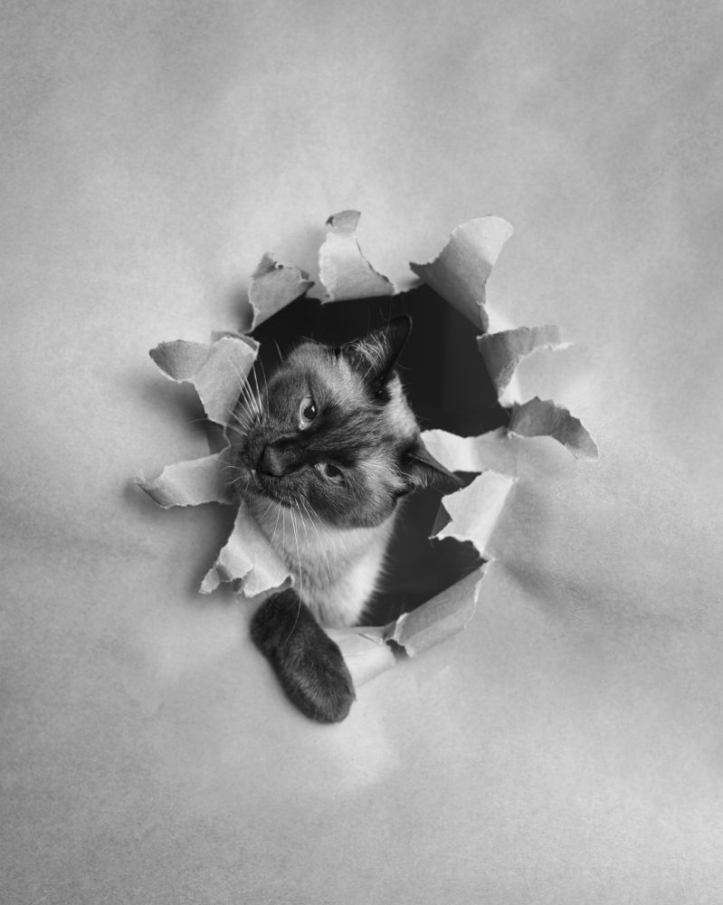 Фотография автора Santiago Diaz Aragon