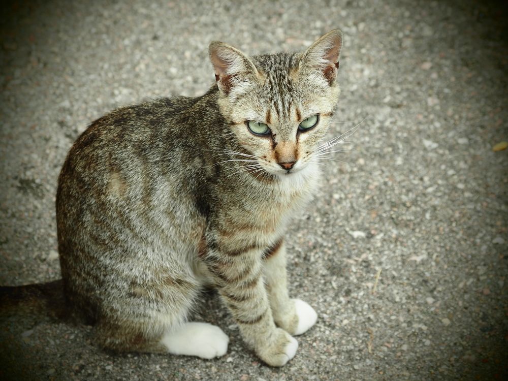 Photograph by Сергей Борисов