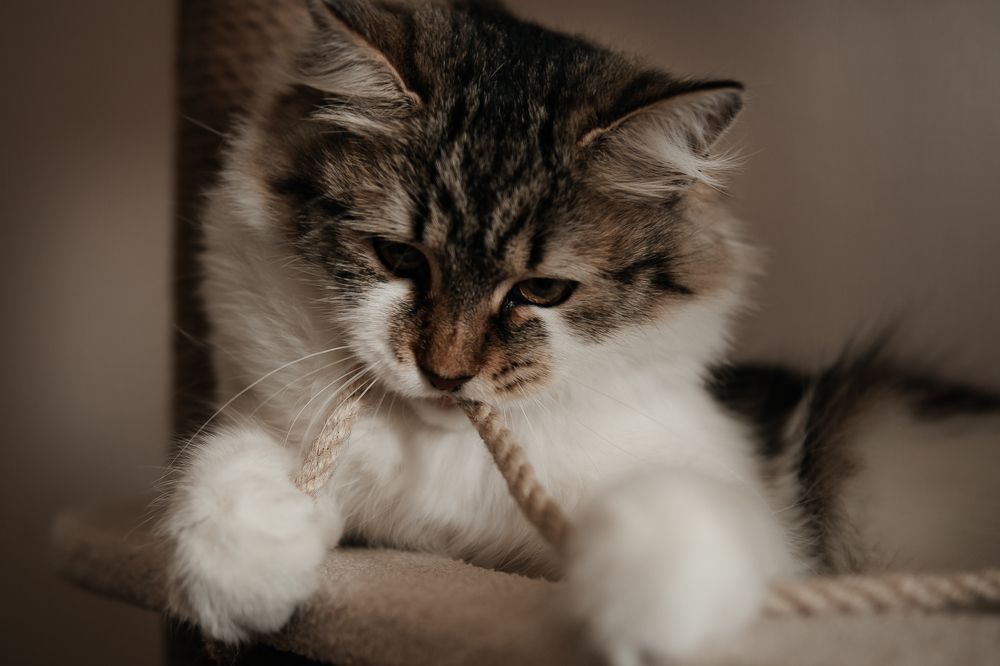 Photograph by Elena Kilina