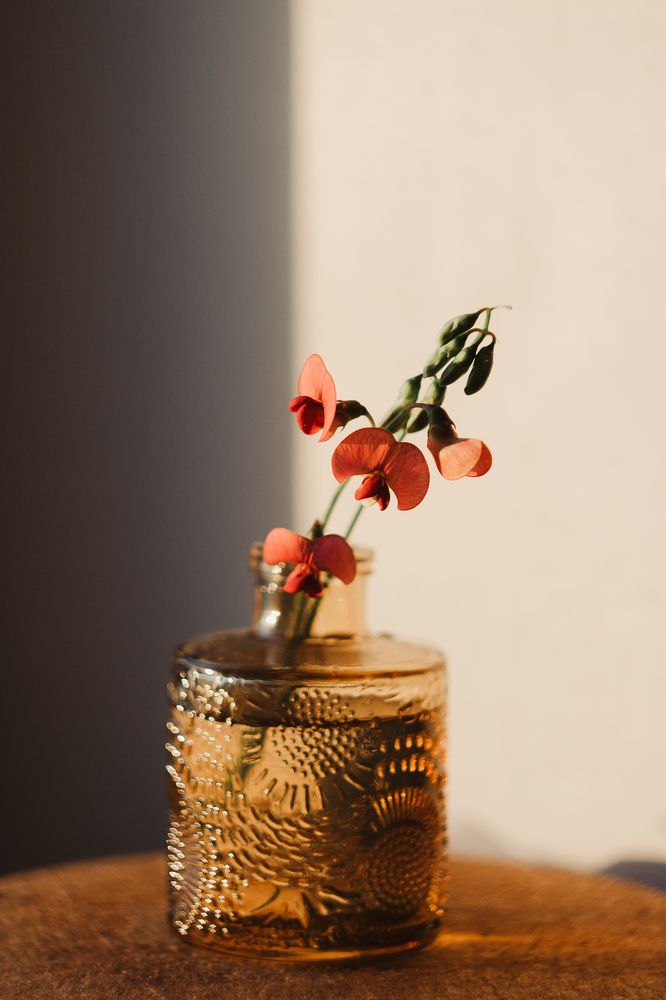 Photograph by Anna Dubinina