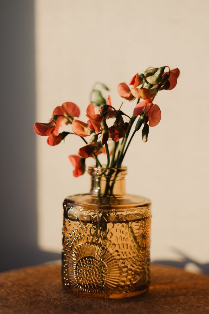 Photograph by Anna Dubinina