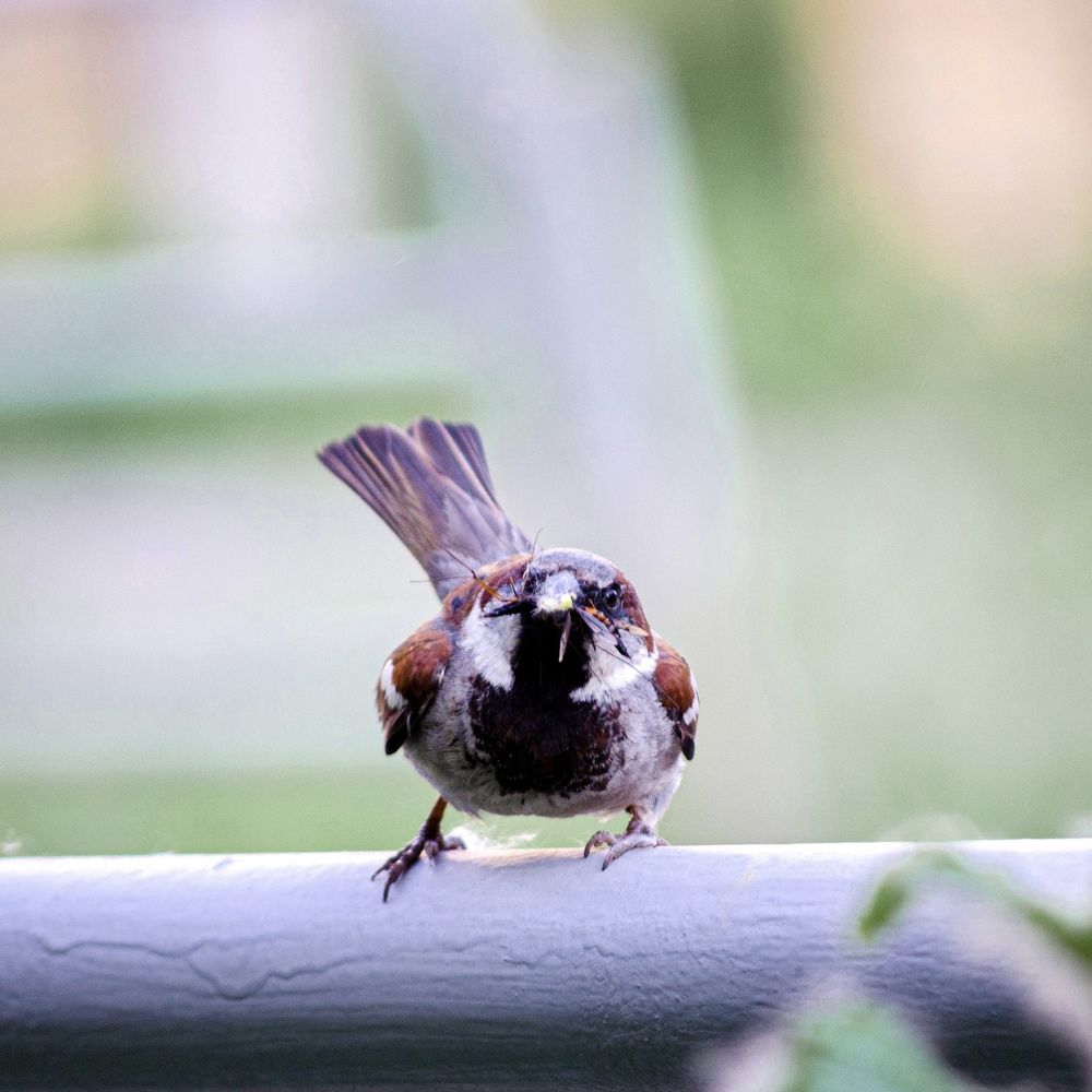 Photograph by Анна Потапова