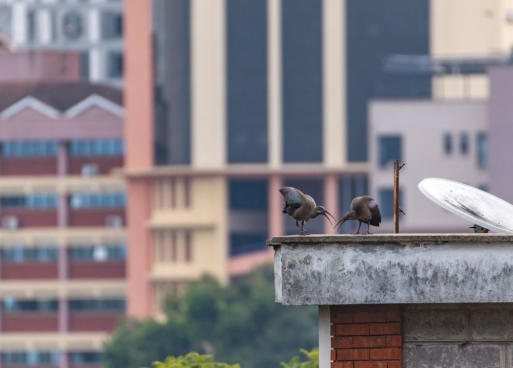 Photograph by Avani Dhanani