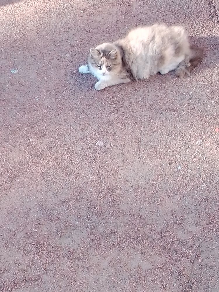 Photograph by Irina Mihailovskaya