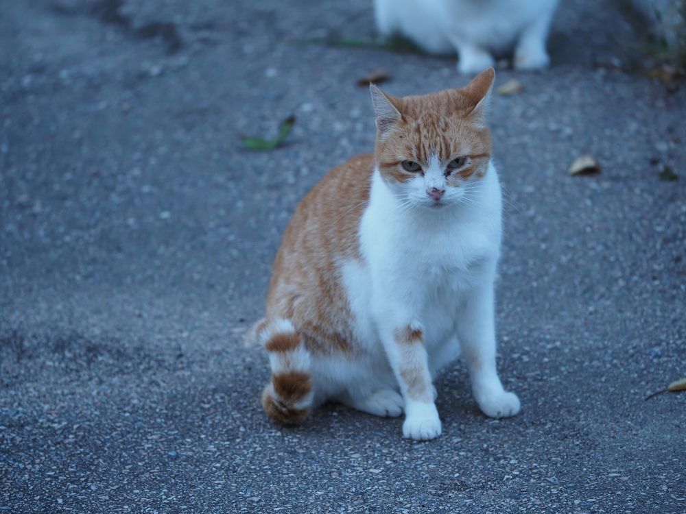 Photograph by Сергей Борисов