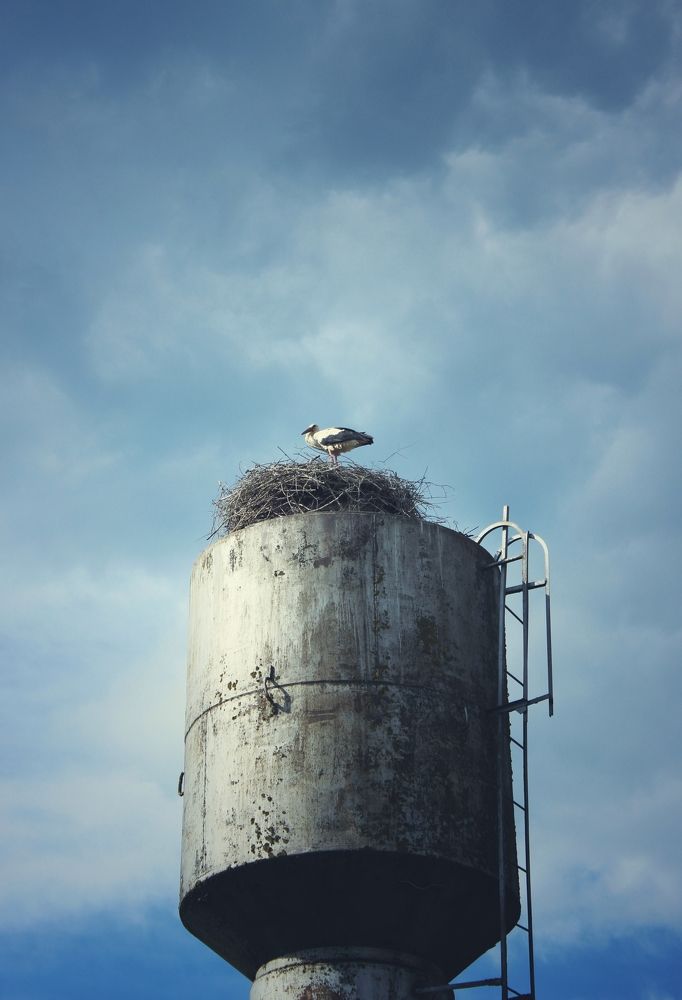 Photograph by Татьяна Сычёва