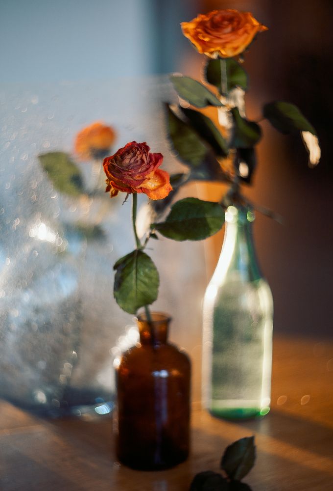 Photograph by Elena Kilina