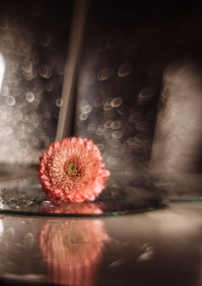 Photograph by Elena Kilina