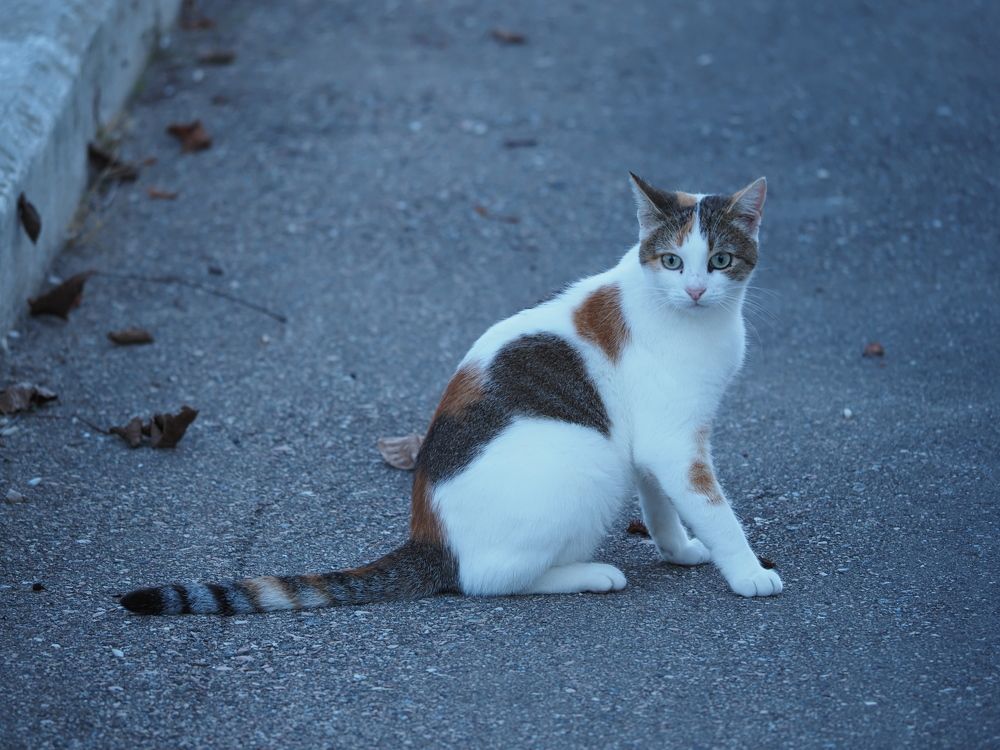 Photograph by Сергей Борисов