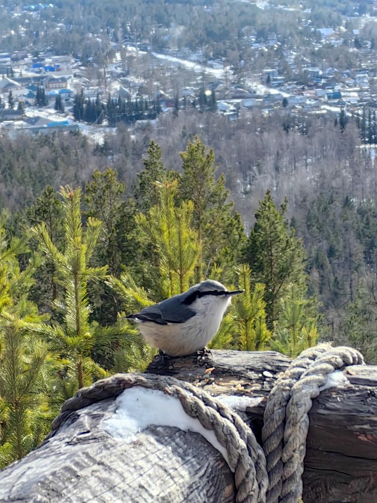 Photograph by Римма Бобрякова