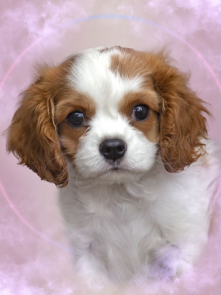 Здрасте,  это я!