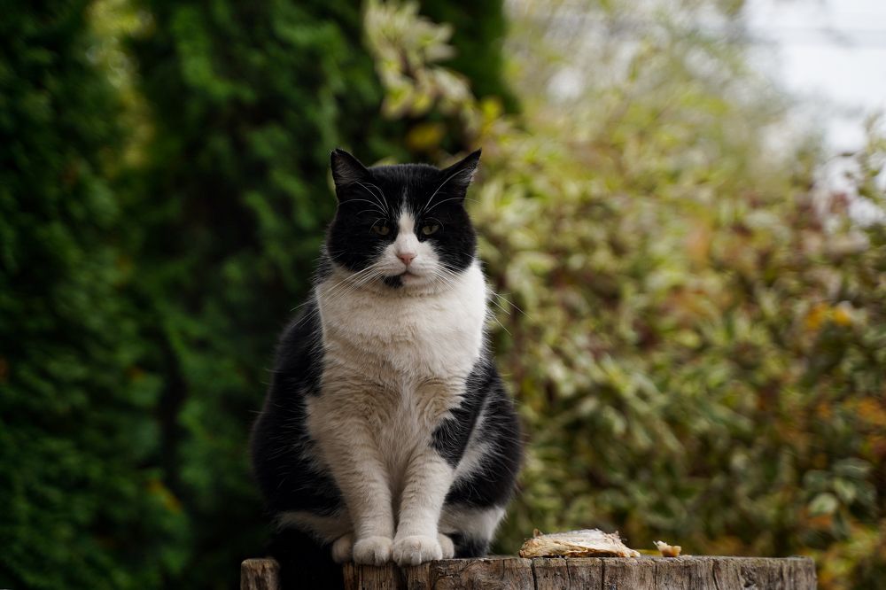 Photograph by Надежда Бехер
