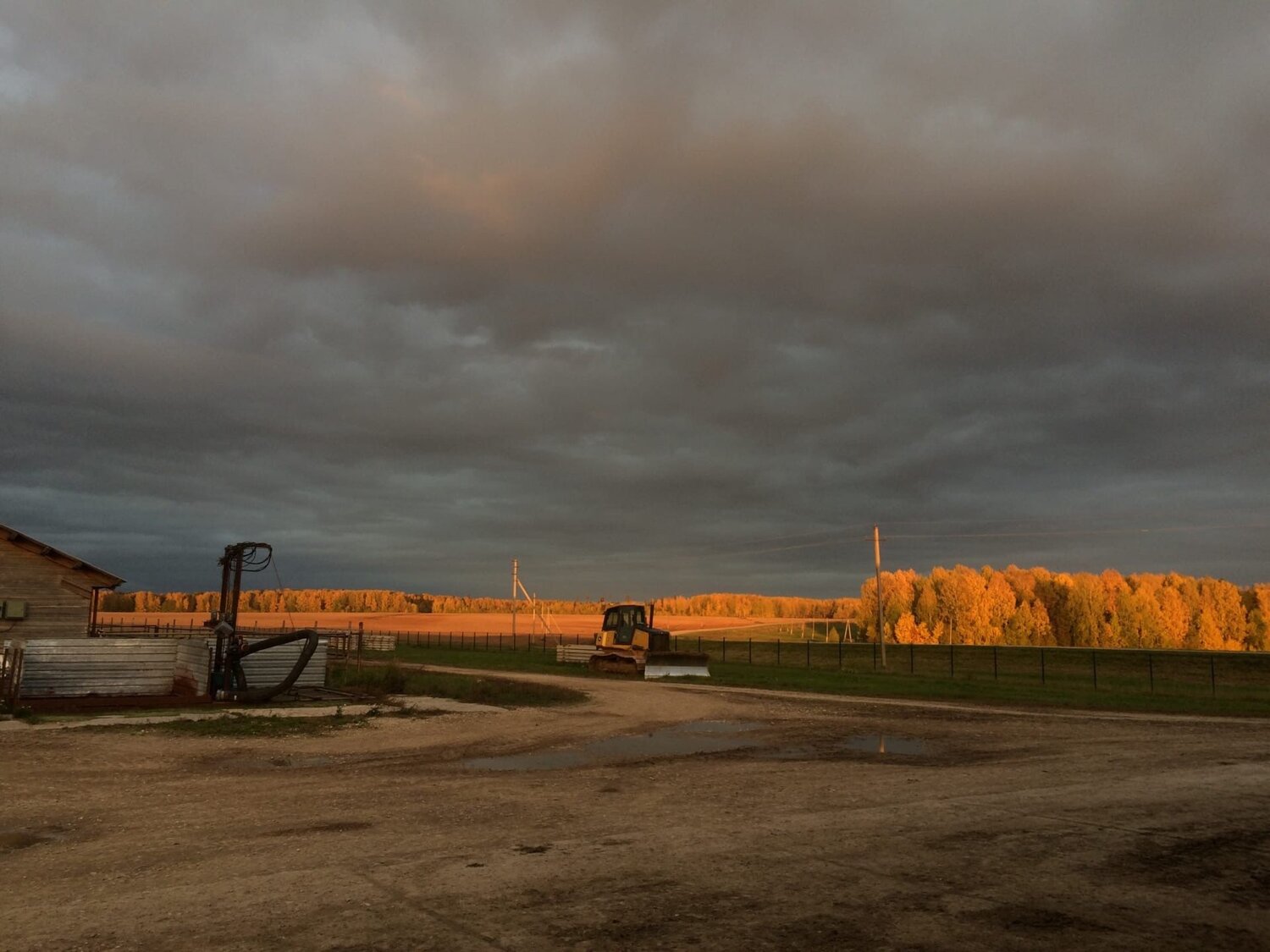 Photo #10813823