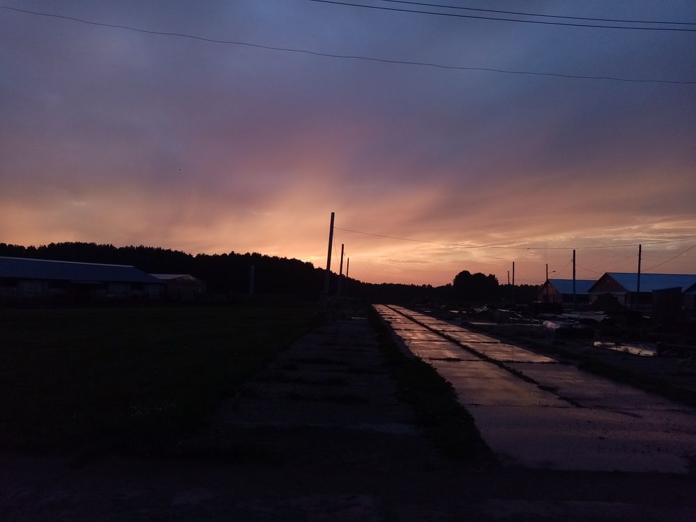 Photo #10813824