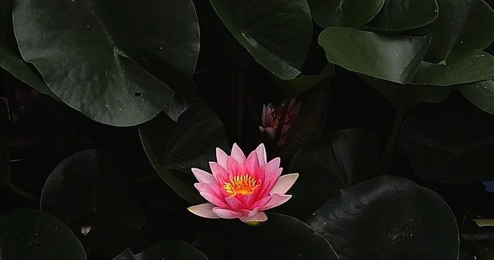Photograph by анна