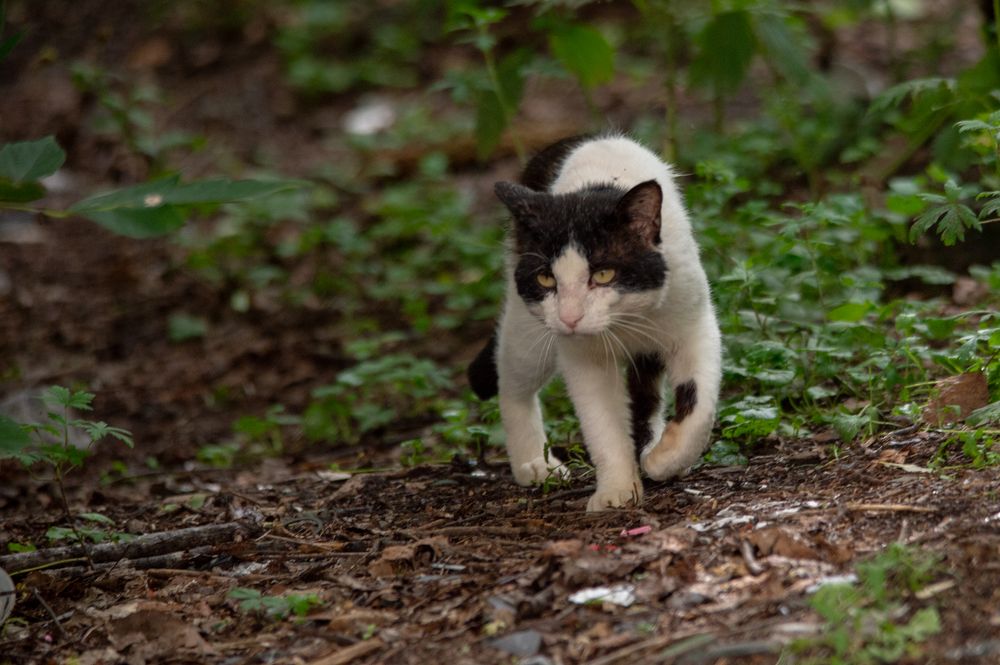 Photograph by Антон Демидов