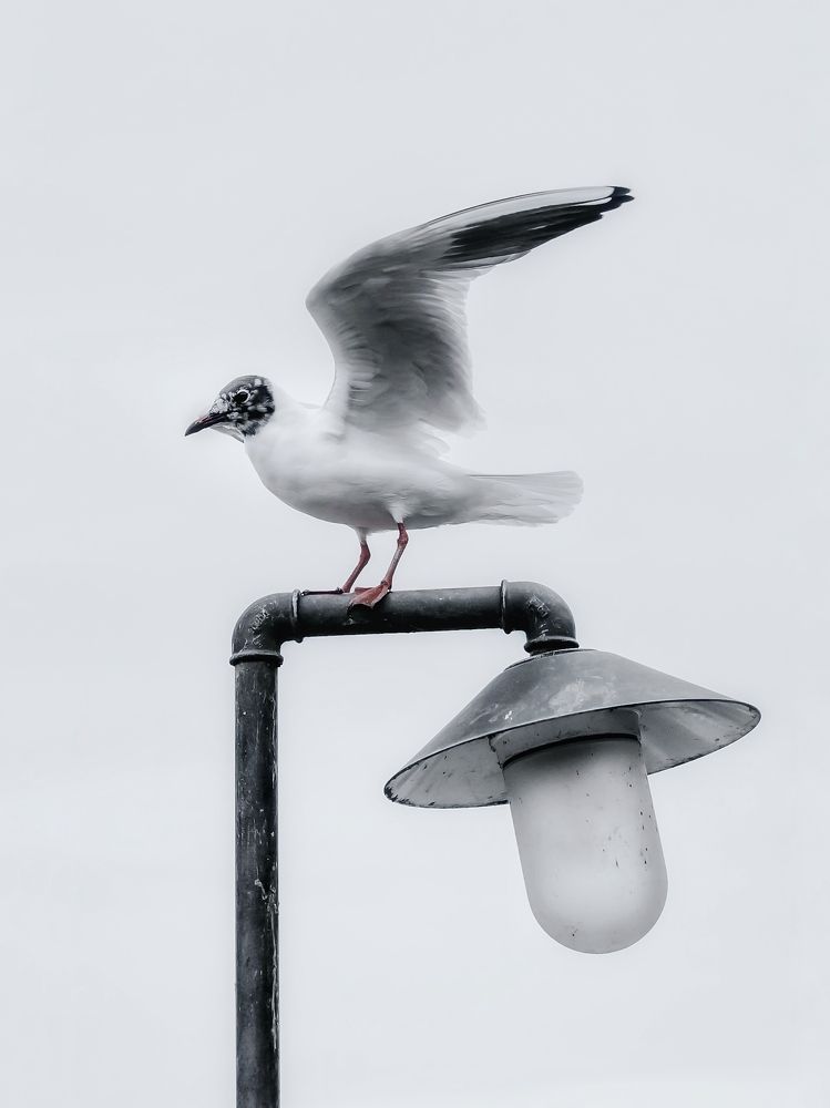 Photograph by Anya Lo